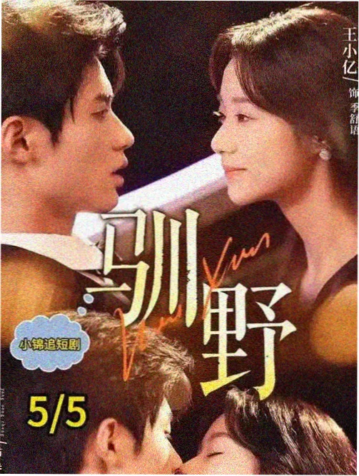 雾港追凶 免费刑侦剧在线